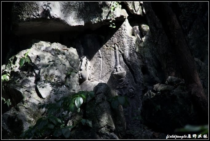 20120726【fieldjungle原野丛林】飞来峰造像-元代 by fieldjungle