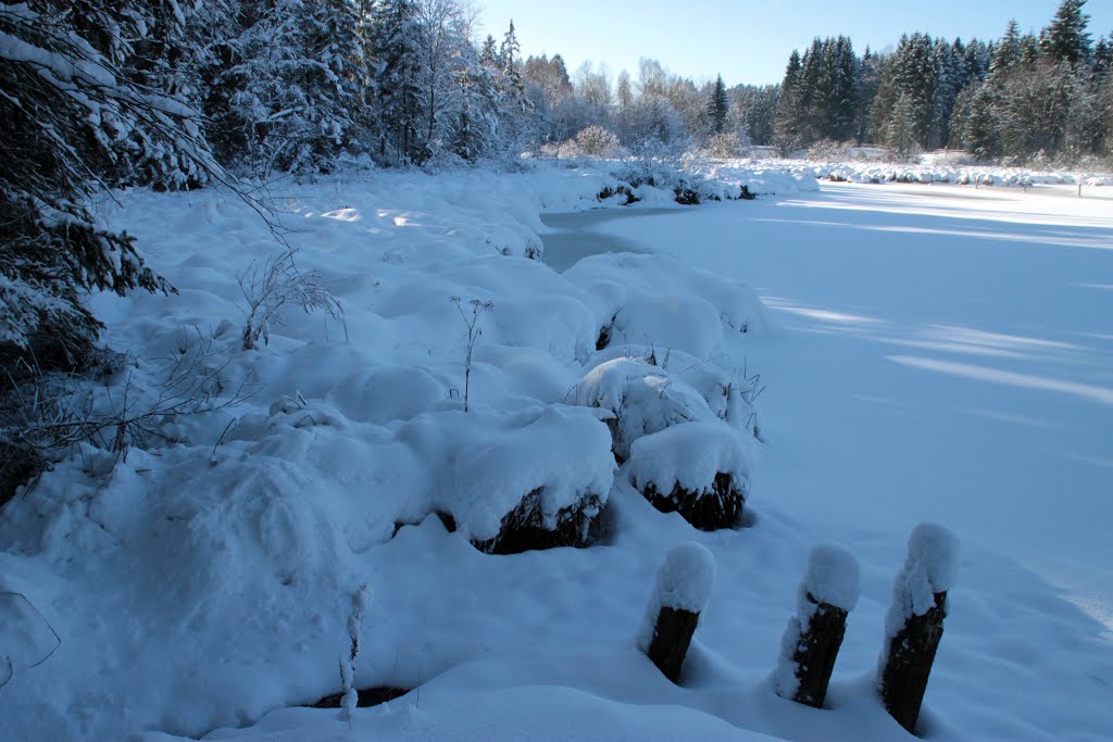 Erster Schnee im November VI by Klaus Ka (mooshuf)