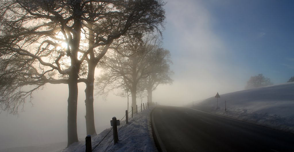 Winter an der Alpenstraße III by mooshuf