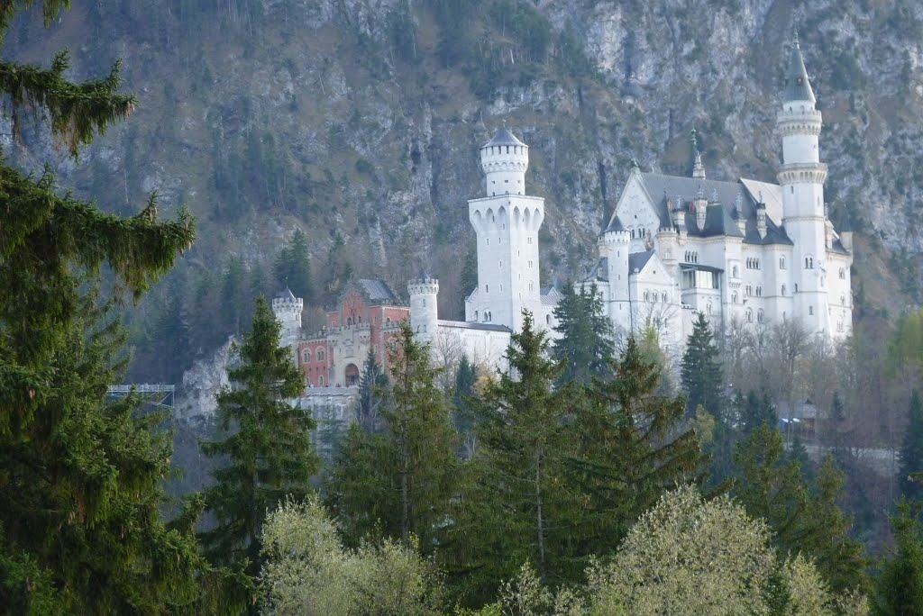 Schloß Neuschwanstein by Andre Lumix