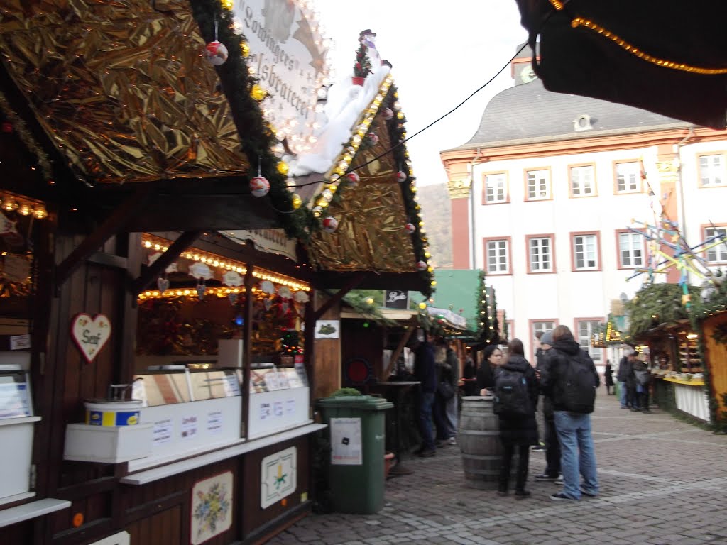 Heidelberg, Deutschland by Stoyanka Robova