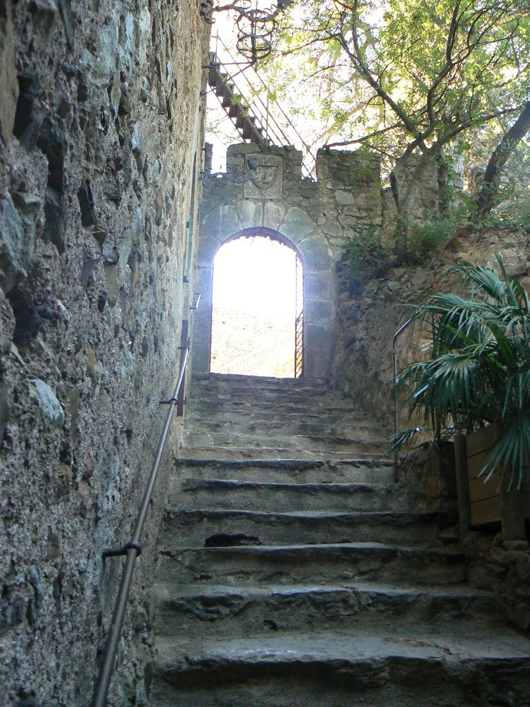 Castelnou - Château by Kessel Luc