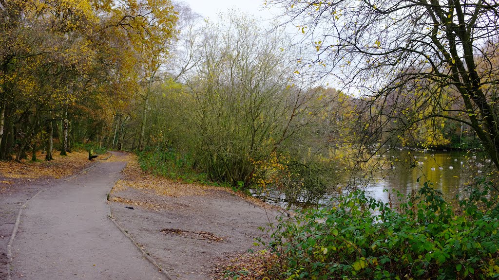 Shakerley Mere by Dennis N