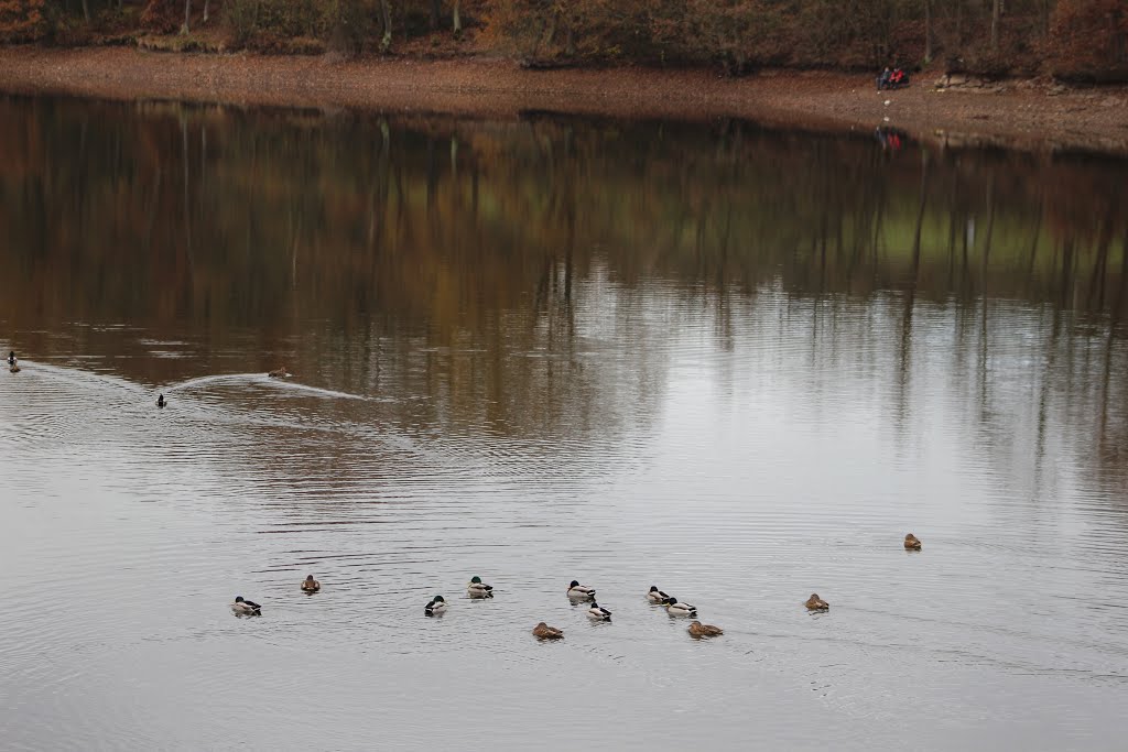 Ausflug mit Ente by eifelfotomike