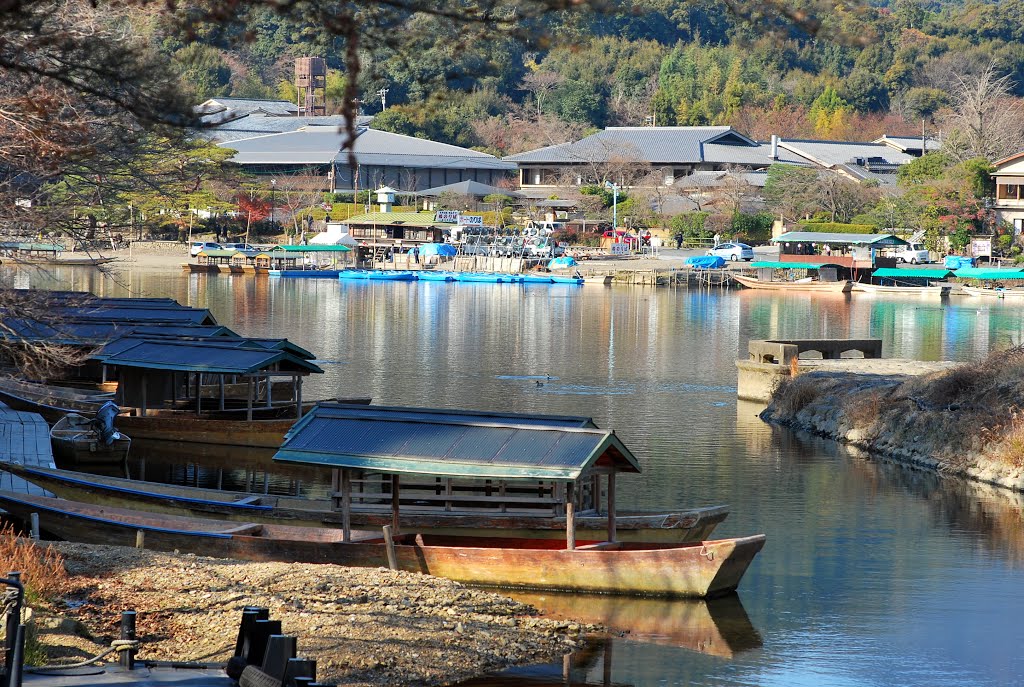 Sagatenryuji Tsukurimichicho, Ukyo Ward, Kyoto, Kyoto Prefecture 616-8384, Japan by Macgyver Wang