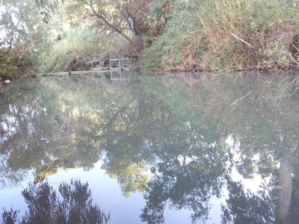 Yarkon Clear Waters by bbzz