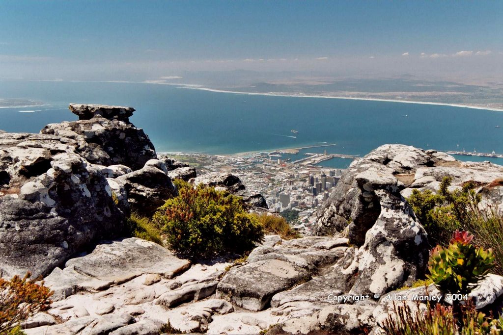 Cape Town Viewed from the top of Table Mountain by Allan Manley