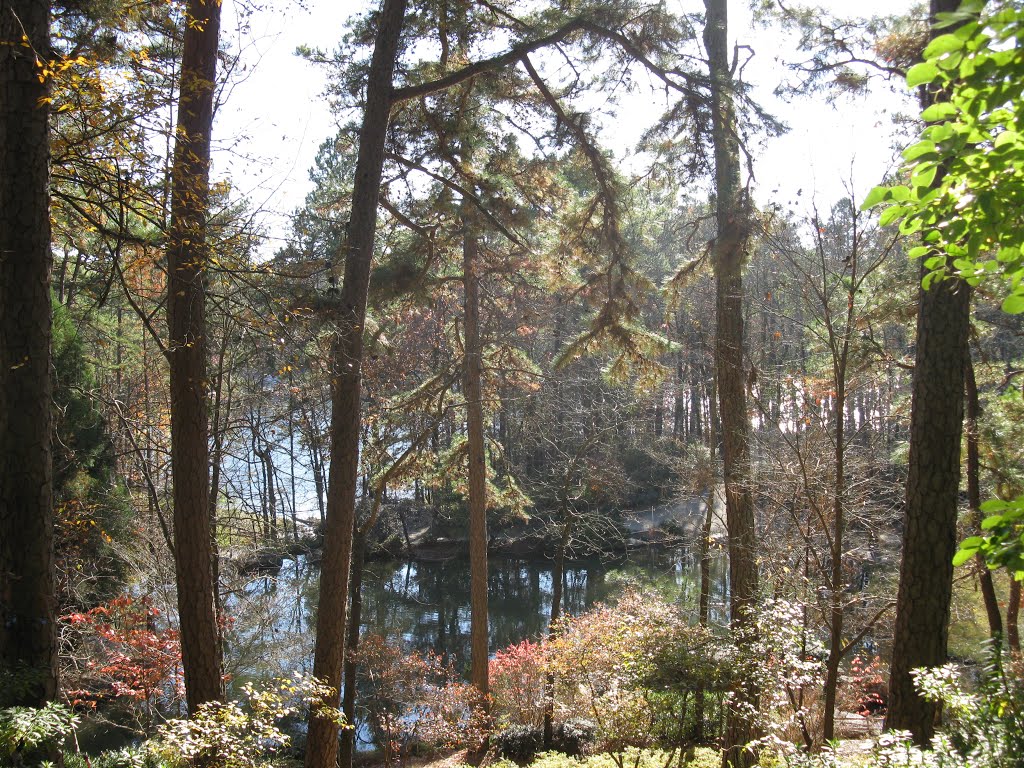 Garvin Woodland Gardens. View toward Koi Pond. Hot Springs, AR by Ref Tom Green