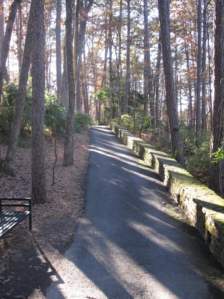 Garvin Woodland Gardens. Hot Springs, AR by Ref Tom Green