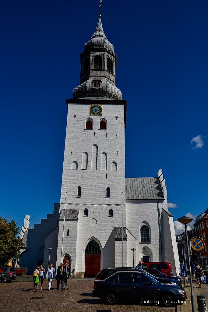 Ålborg Domkirke by Junjun Guo