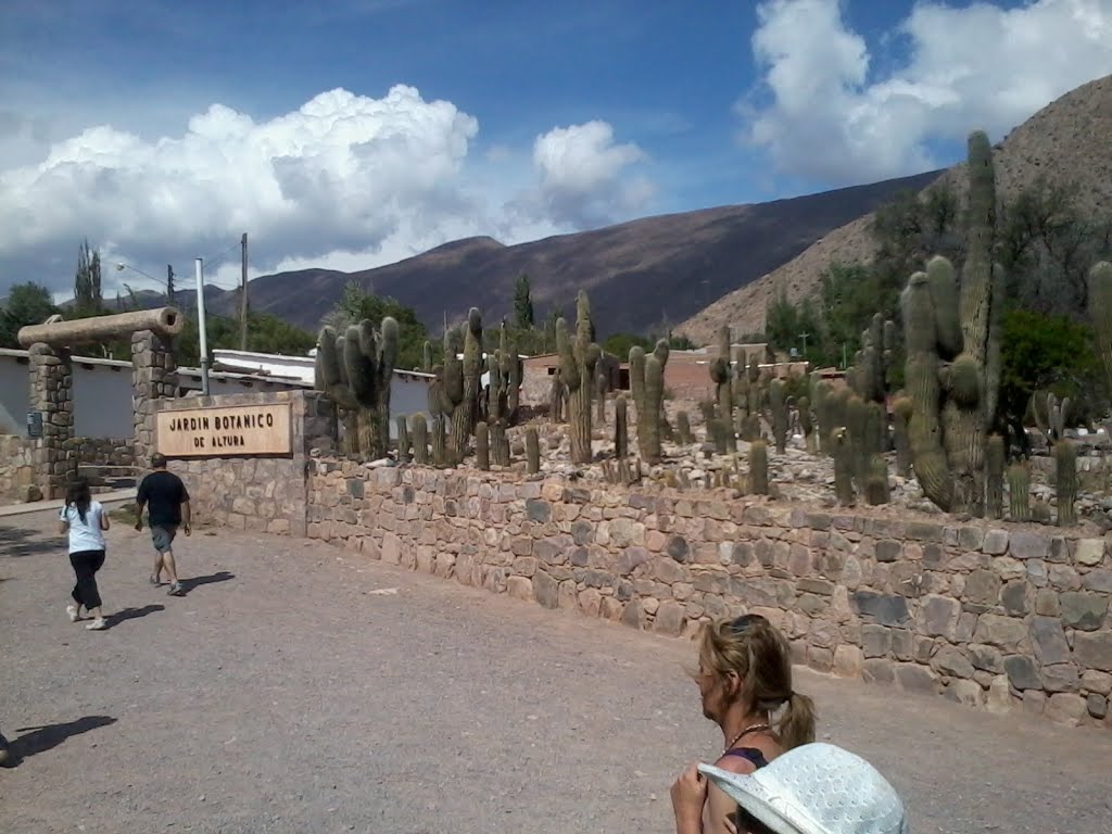 Tilcara, Jujuy, Argentina by Julio Ricardo