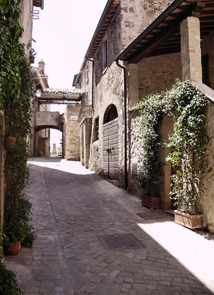 Via duca degli abruzzi by graziella