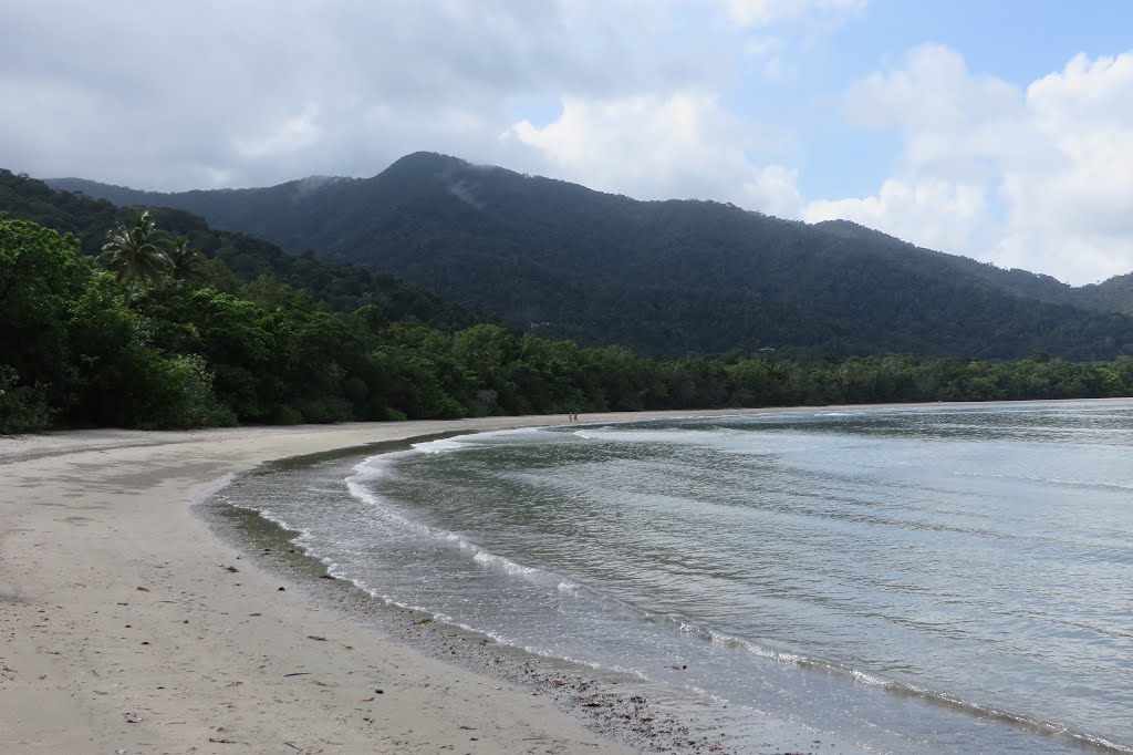 Cape Tribulation QLD 4873, Australia by Rogapl