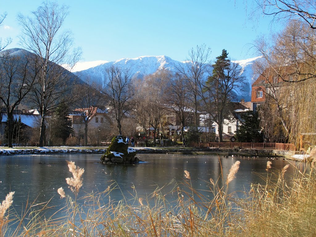 Puchberg am Schneeberg by Gerhard Weiss