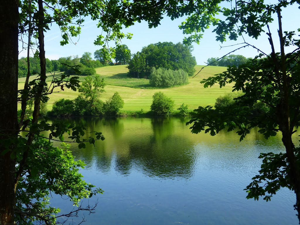 Ellwangen (Jagst) Haselbachsee. Hügel am Schweizer Hof oben. 13.06.2013 by Manfred Nowag