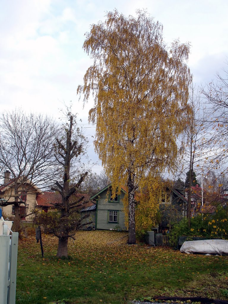 Vaxön, Vaxholm, Sweden by anton vaksman