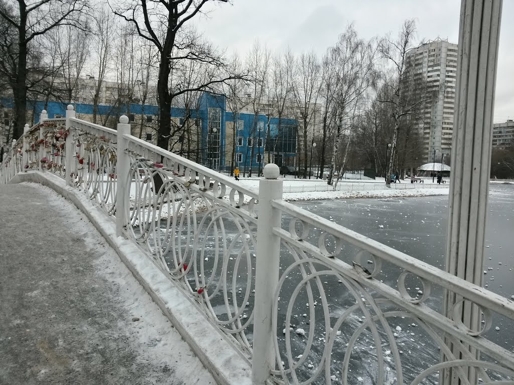 Lianozovo District, Moscow, Russia by Alexei Ovcharov