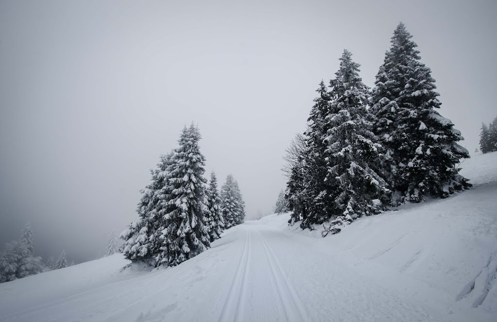 79868 Feldberg, Germany by oitden