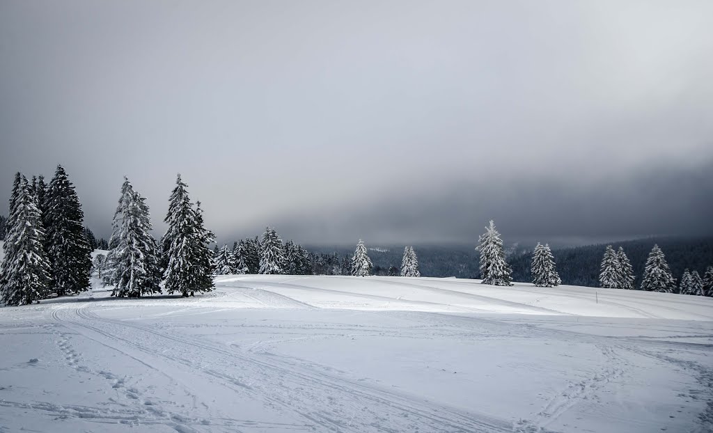 79868 Feldberg, Germany by oitden