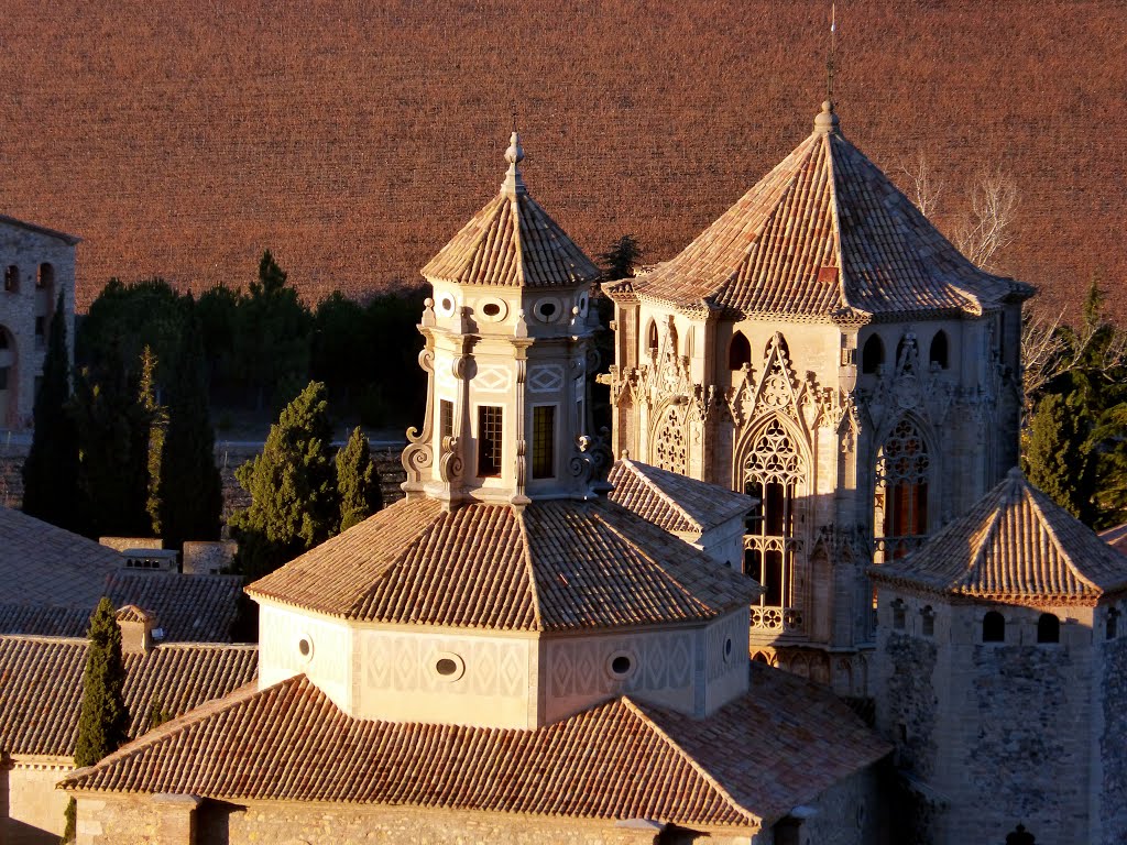 L'Espluga de Francolí, 43440, Tarragona, Spain by remeicanadell