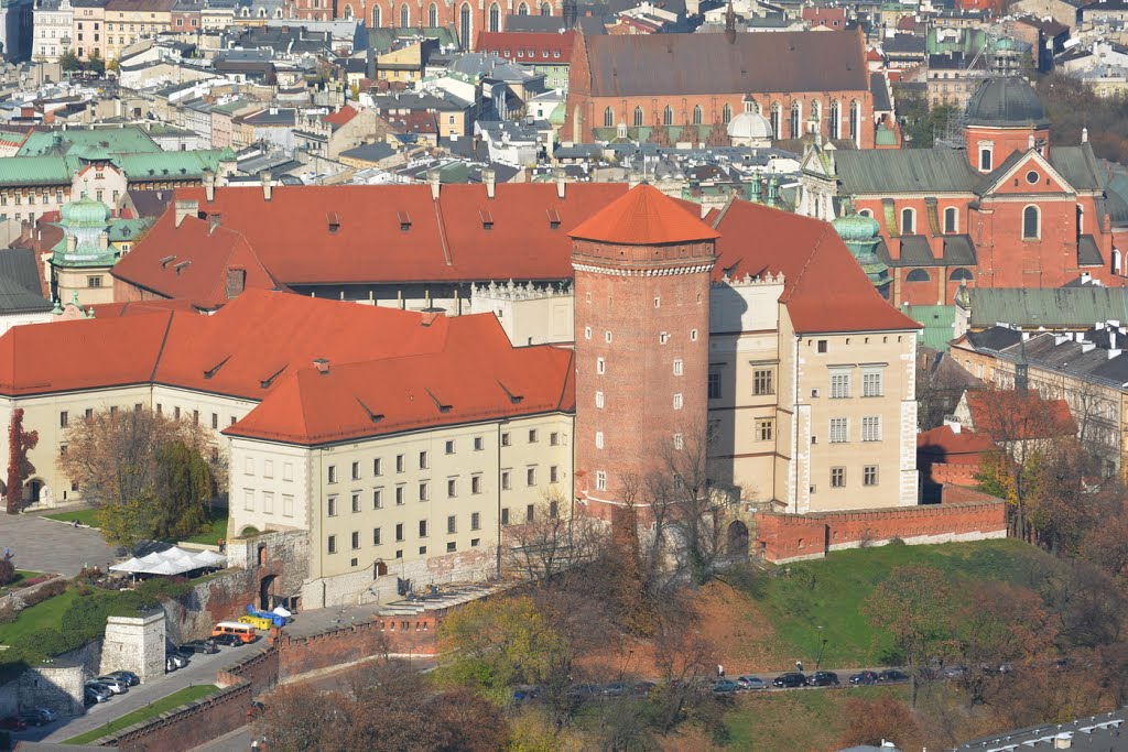 Wawel, widok z balonu (MrM) by Leszek Jankowski