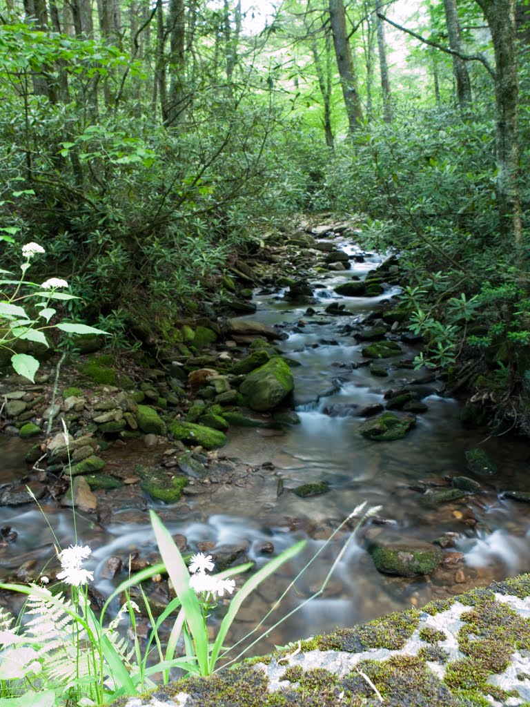 South Toe, NC, USA by Isaac Mitropoulos