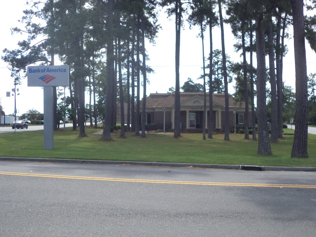 Bank of America, N Patterson St, Valdosta by mriveraz