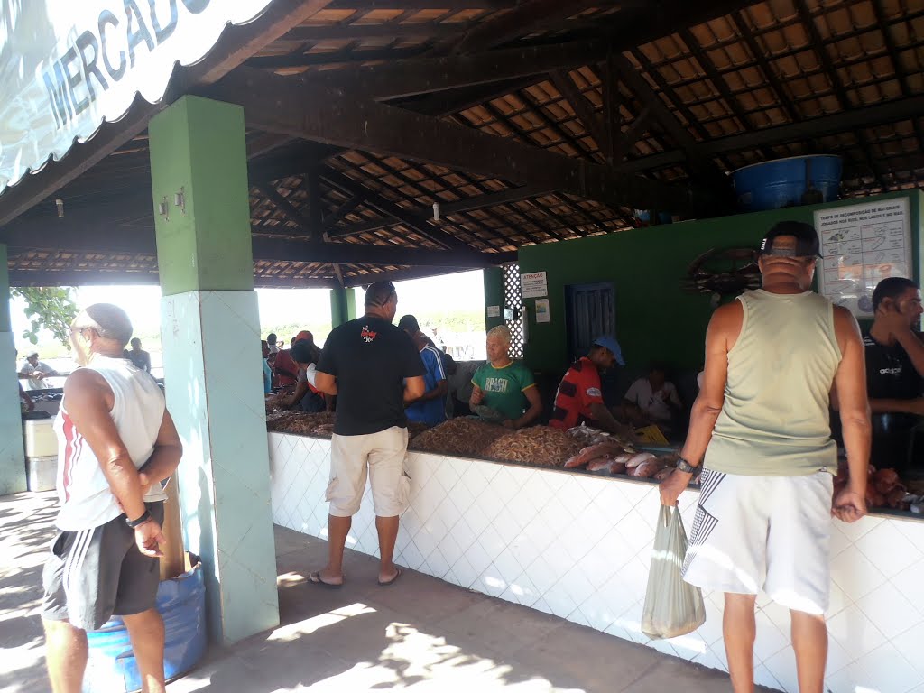 Mercado do Peixe, Porto Seguro, Bahia, Brasil by Alba Alves de Lima