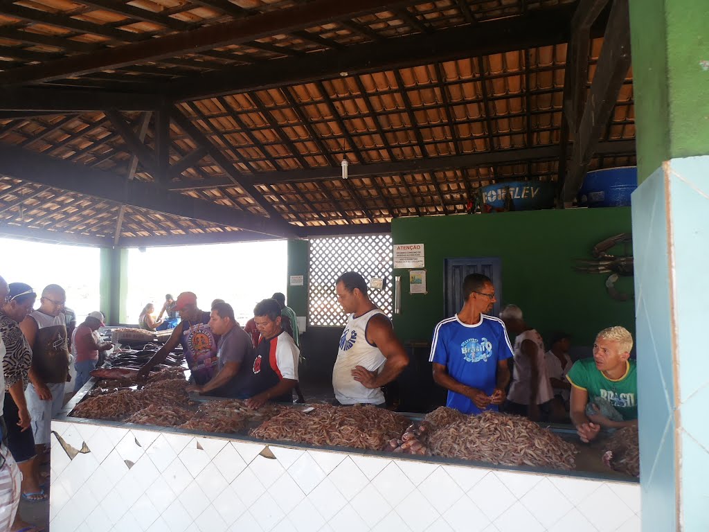 Mercado do Peixe, Porto Seguro, Bahia, Brazil by Alba Alves de Lima