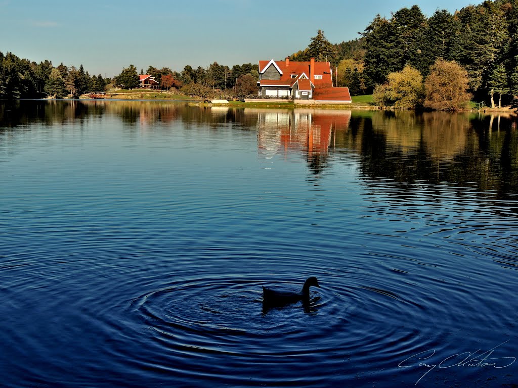 Taşoluk/Bolu Merkez/Bolu, Turkey by Can Okatan