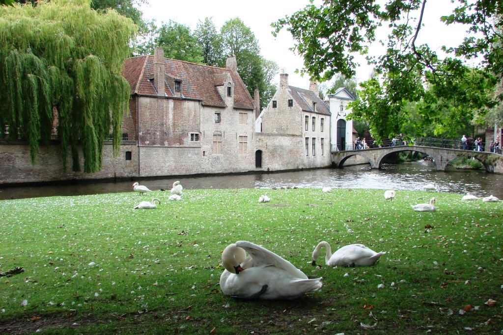 Béguinage de Bruges - UNESCO World Heritage by Svetlana Masalitina