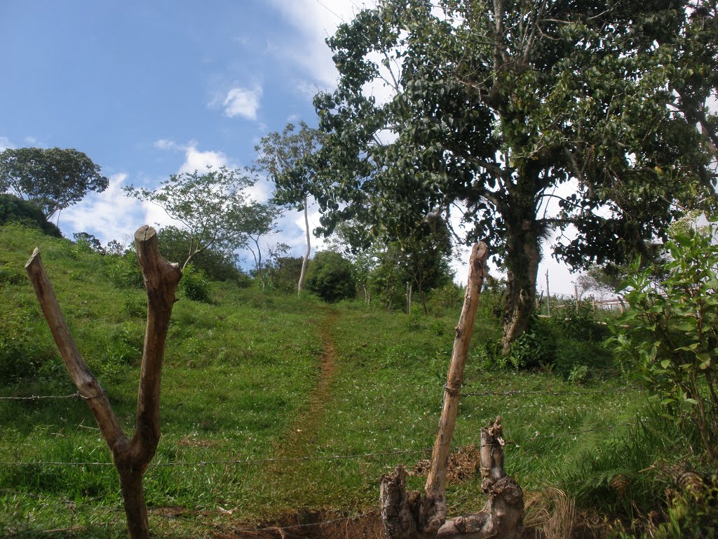 Buenos Aires, Cauca Department, Colombia by Andres Hurtado (Andr…