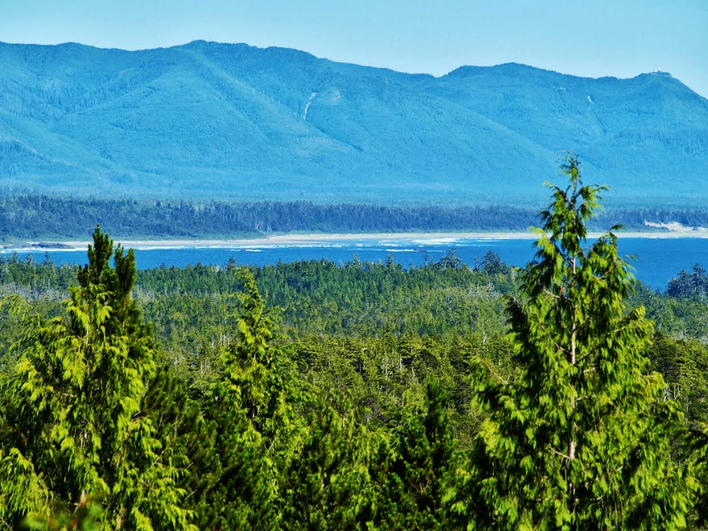 From Radar Hill, Tofino, BC by Shahnoor Habib