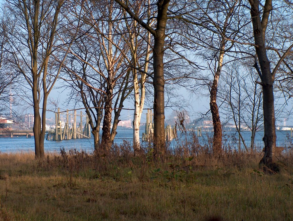 Blick auf den Hafen in Wilhelmshaven by HellaB