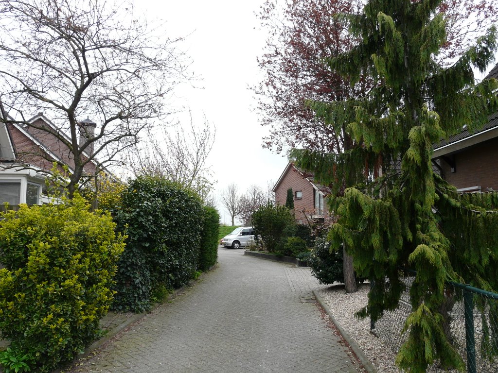 Zijweg van de Odijkseweg, zicht op zuiden, Houten by David Jimmink