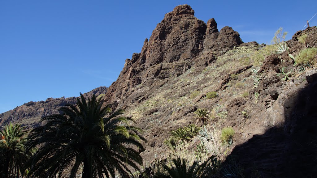 Buenavista del Norte, Santa Cruz de Tenerife, Spain by ?горь ?нтонов