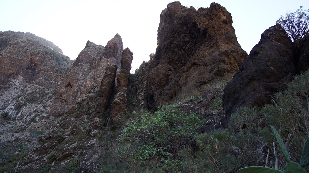 Buenavista del Norte, Santa Cruz de Tenerife, Spain by ?горь ?нтонов