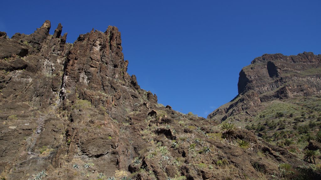 Buenavista del Norte, Santa Cruz de Tenerife, Spain by ?горь ?нтонов