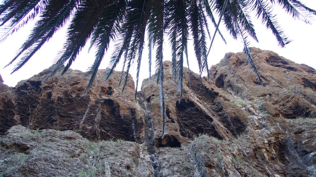 Buenavista del Norte, Santa Cruz de Tenerife, Spain by ?горь ?нтонов