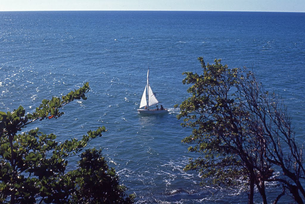 Club Med, Fort Royal, Guadeloupe by Robert Budinoff