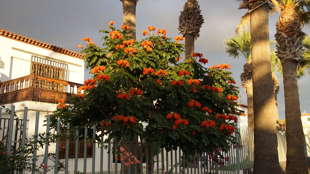 Costa del Silencio, Santa Cruz de Tenerife, Spain by ?горь ?нтонов