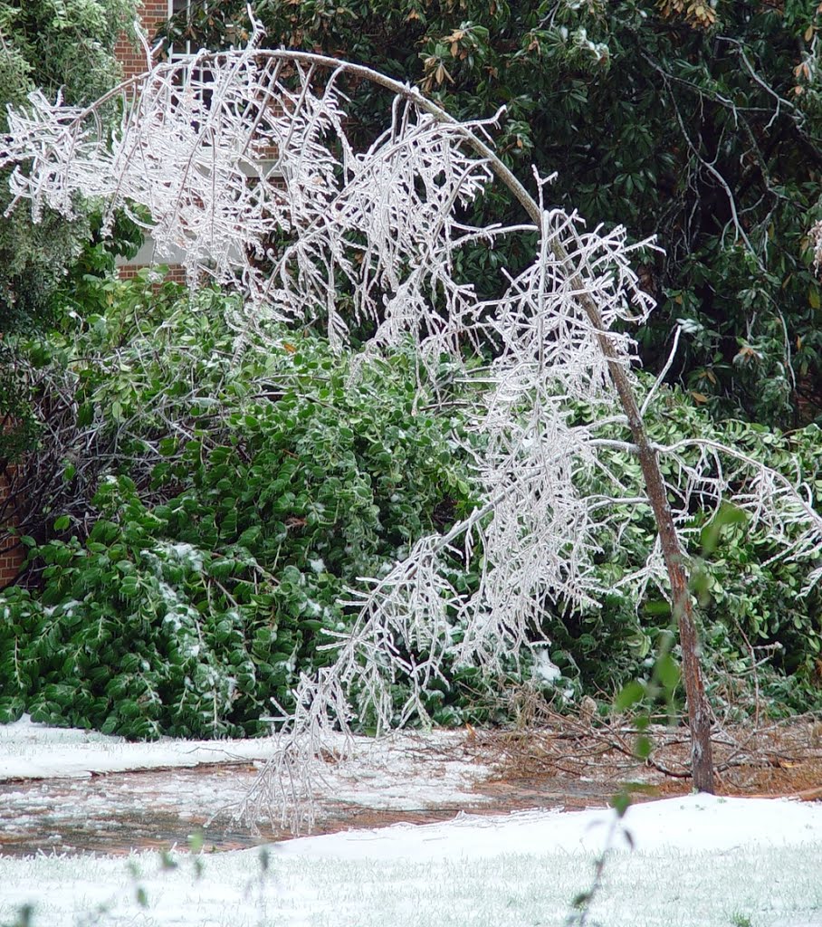 Chapel Hill, NC, USA by Val Tenyotkin