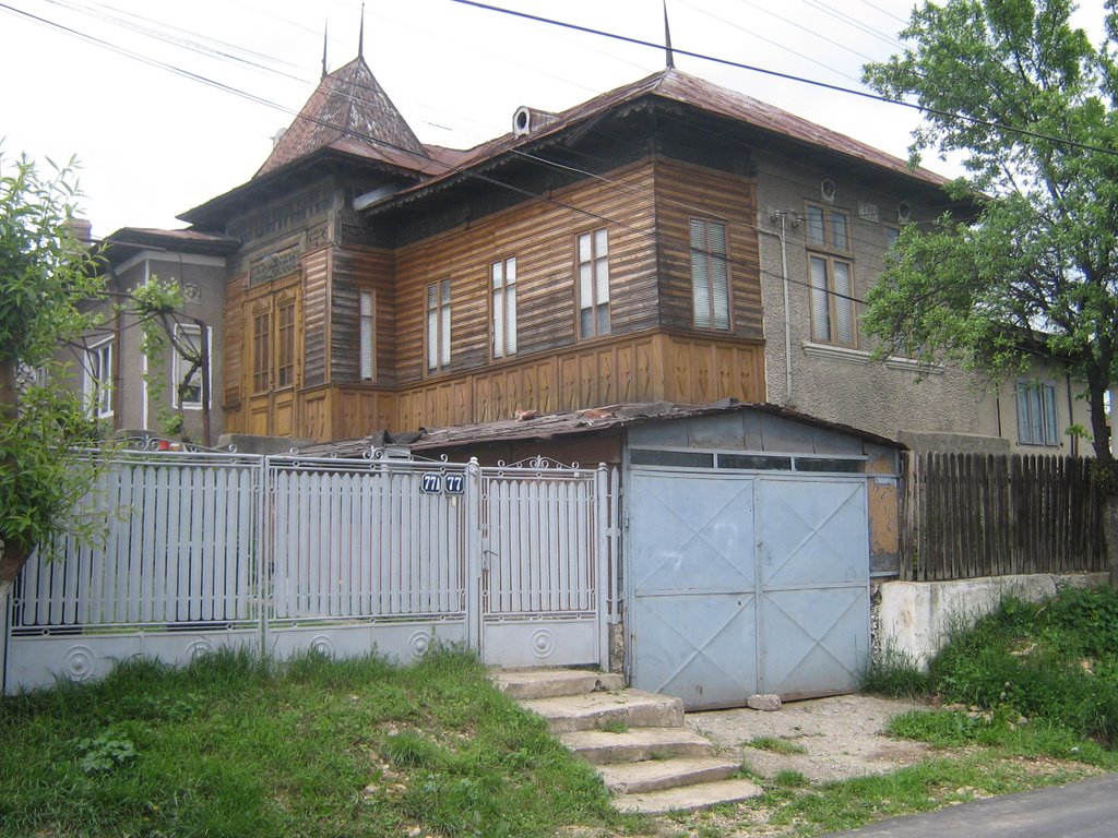 Baicoi, Unirii 77, casa stil taranesc, 2008 by aliensamadhi