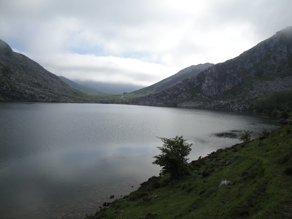 Lago Enol. Asturias. España. by Hilario PV