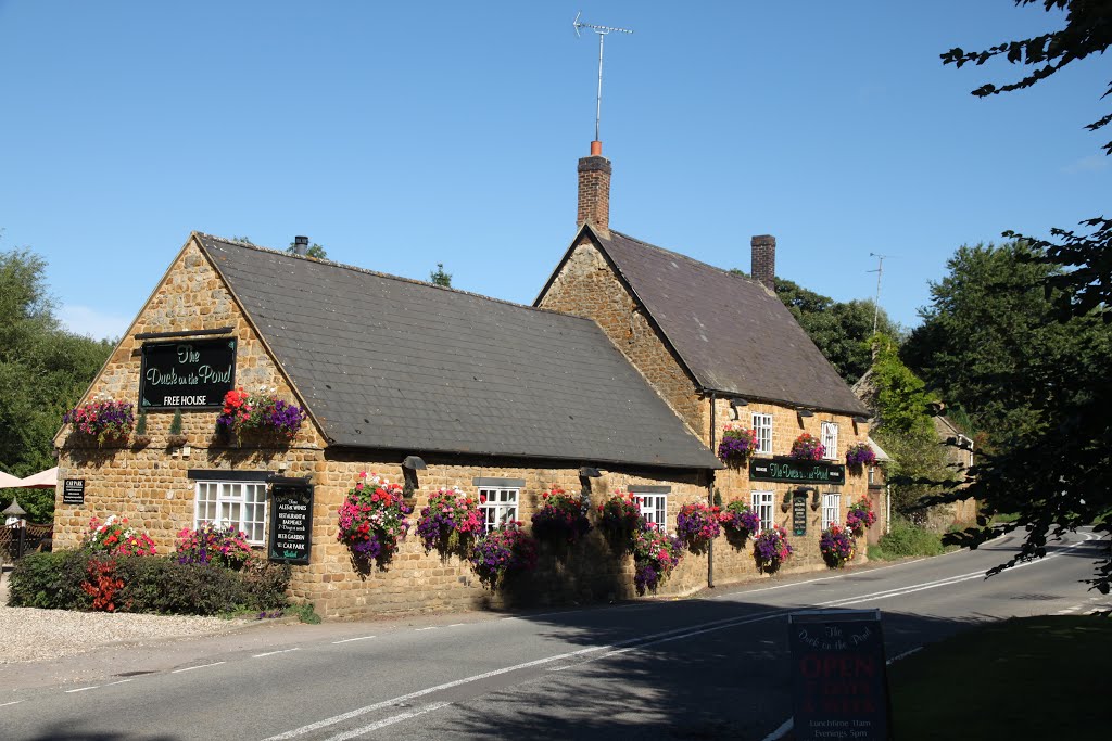 The Duck in the Pond, South Newington, Oxfordshire by Roger Sweet