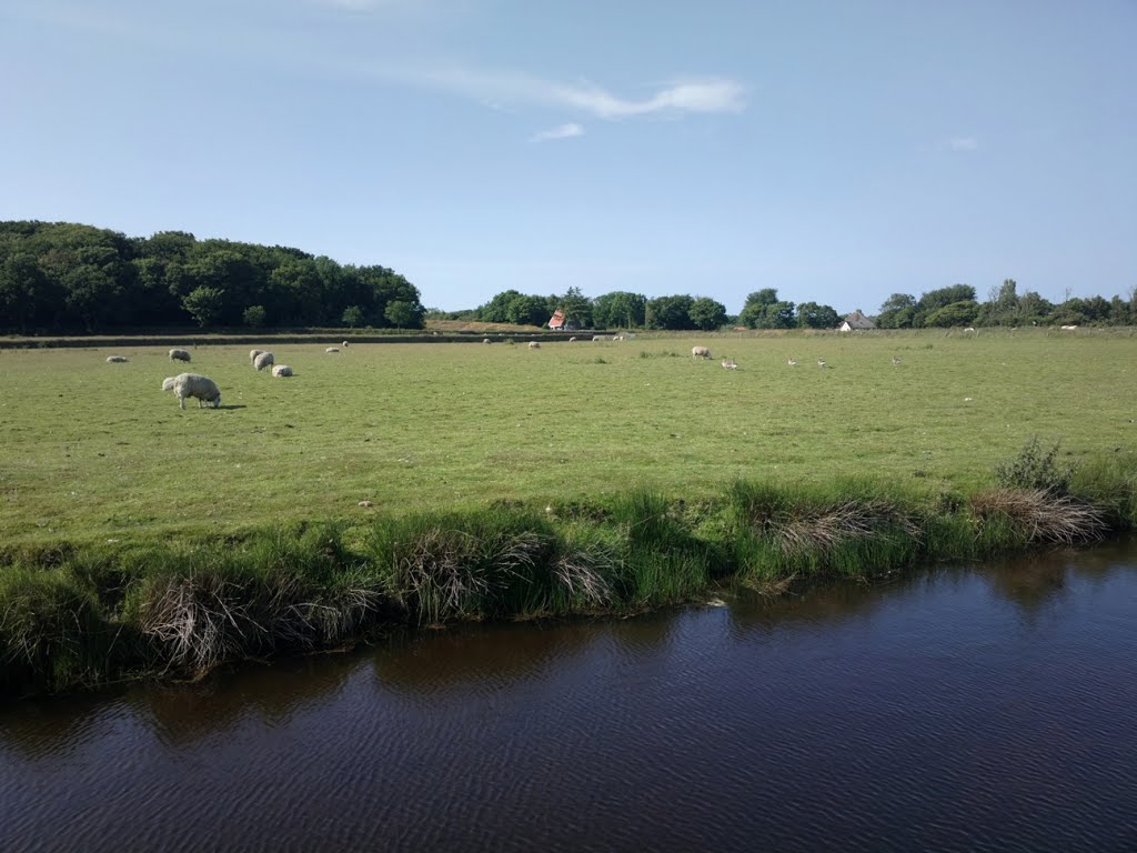 Texel - Hoge Berg - Nature Walk - View North by txllxt TxllxT