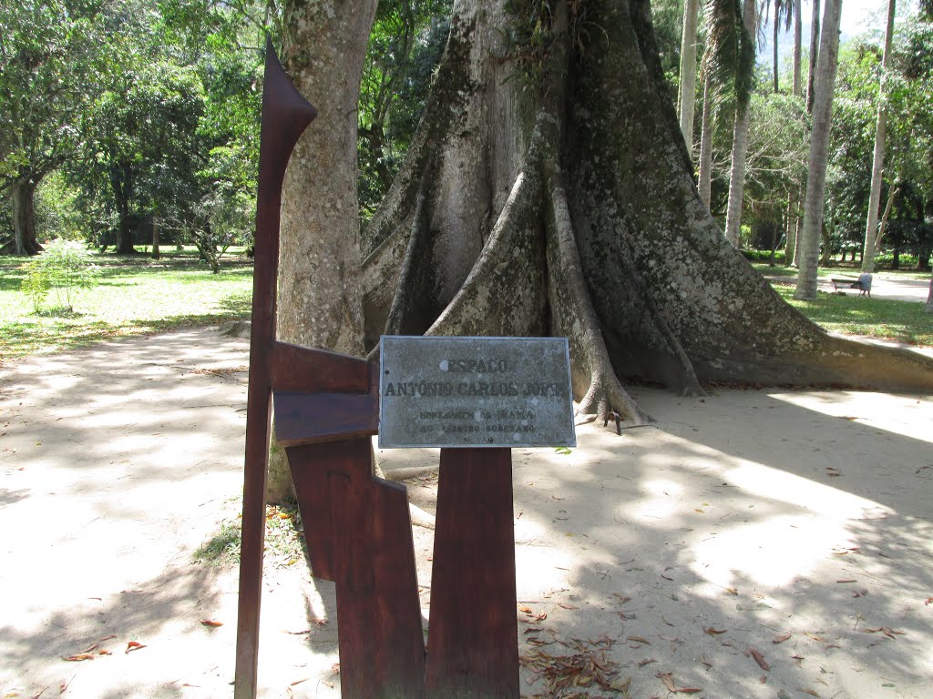 Jardim Botânico - RJ by Júnior Bonfatti