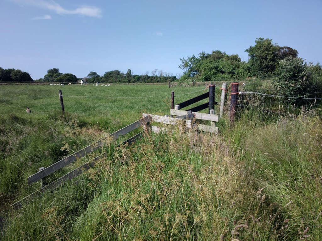 Texel - Hoge Berg - Nature Walk - View NNE by txllxt TxllxT