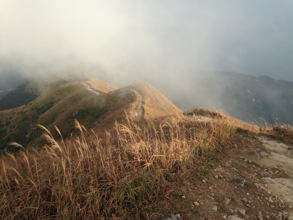 Lantau Island, Hong Kong by wells chang