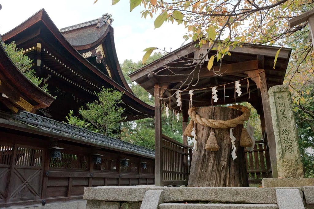 藤森神社/御旗塚 Fujinomori Shrine/Mihataduka by 石津安信